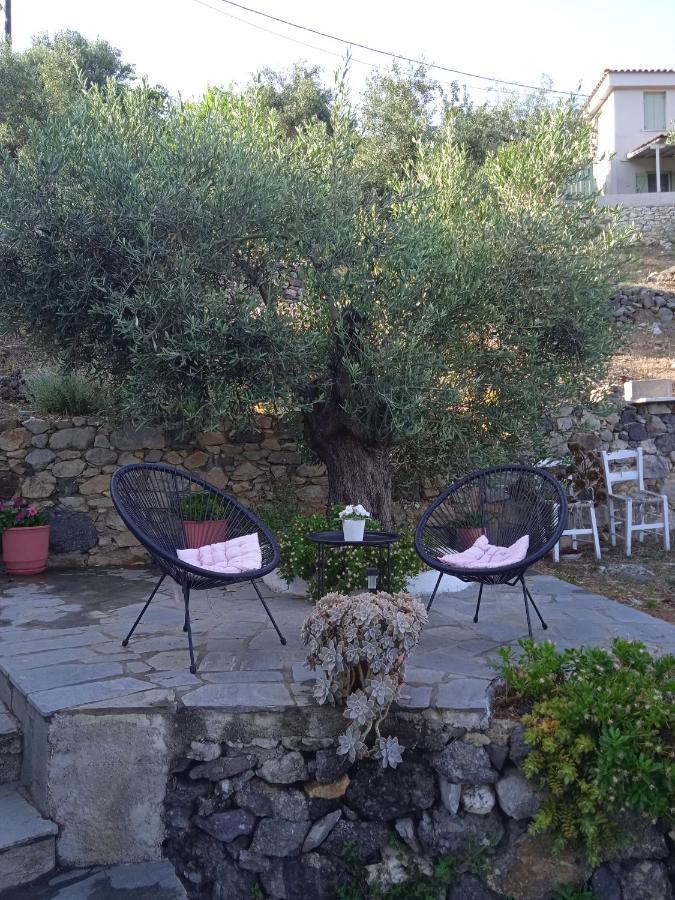 Marianna Studios Άγιος Πέτρος Αλοννήσου Εξωτερικό φωτογραφία