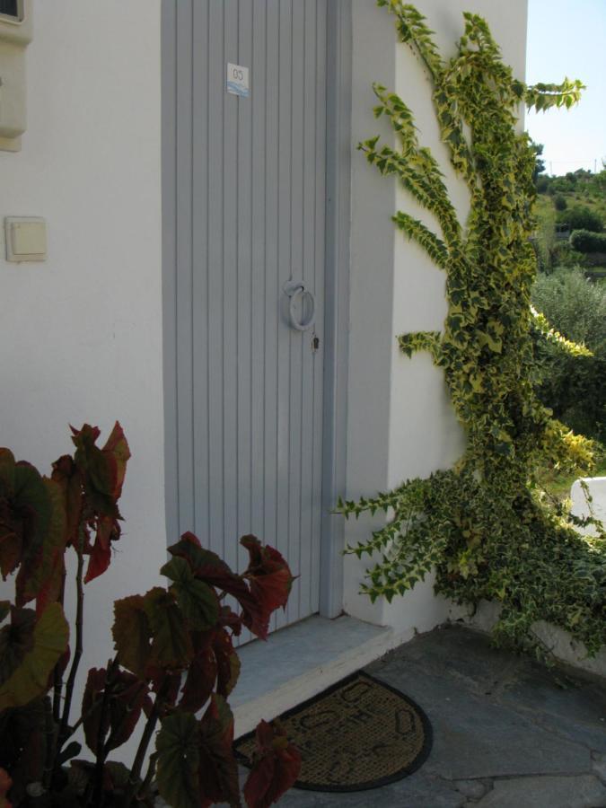 Marianna Studios Άγιος Πέτρος Αλοννήσου Εξωτερικό φωτογραφία